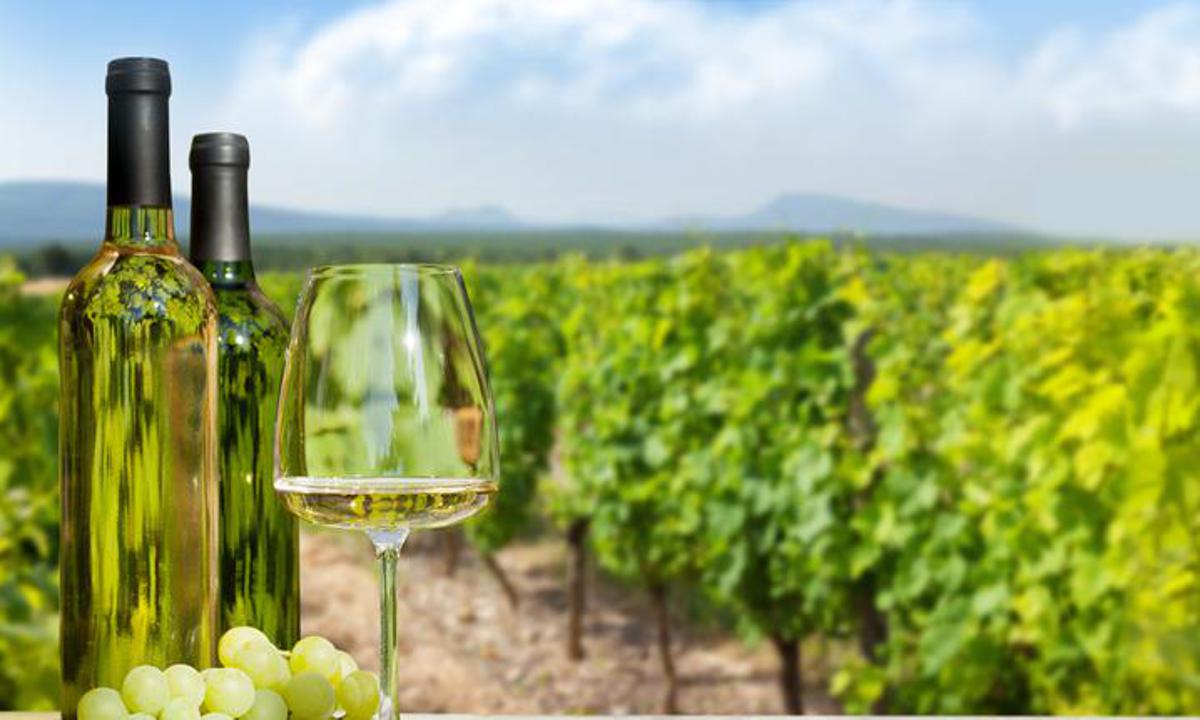 Homegrown Wine Brands in India
