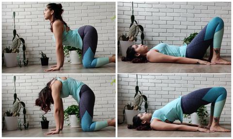 6 Easy Desk Yoga poses to help relieve tension — YogaHub Corporate Wellness  & Office Yoga