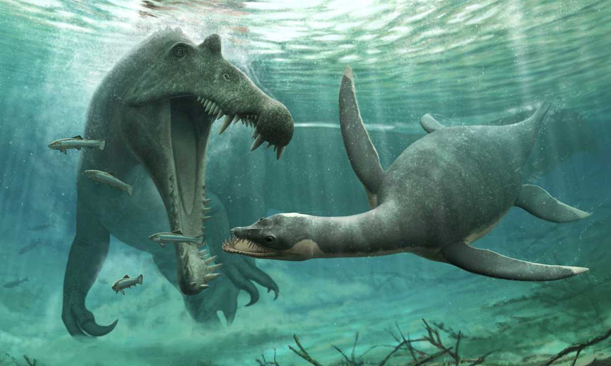 Loch Ness Monster ‘Plausible’