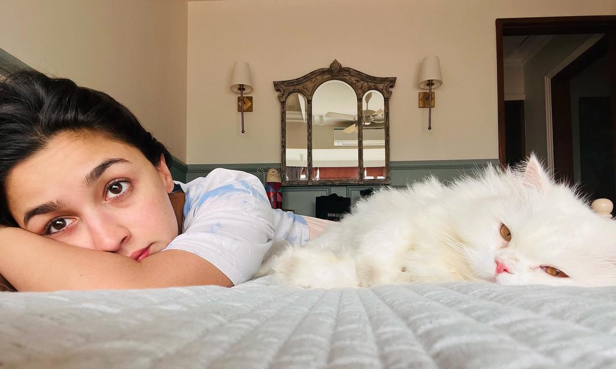 Alia Bhatt with Her Cat