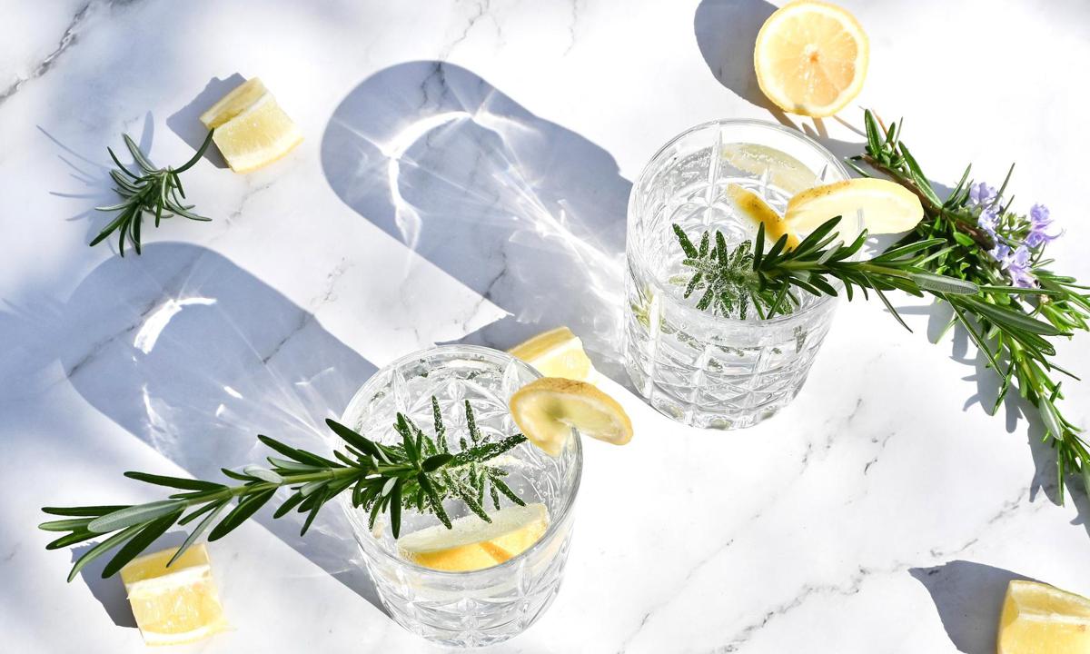 Gin And Tonic Recipes