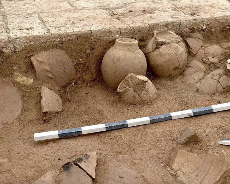 7,000-Year-Old Ancient Road Found Buried Underneath the